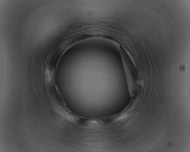 X0000091180239200708231536