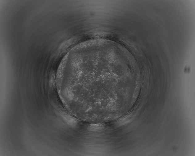 X0000091180240200708231536