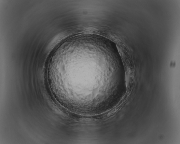 X0000091180242200708231535