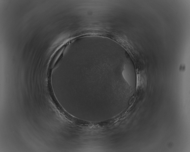 X0000091180243200708231535