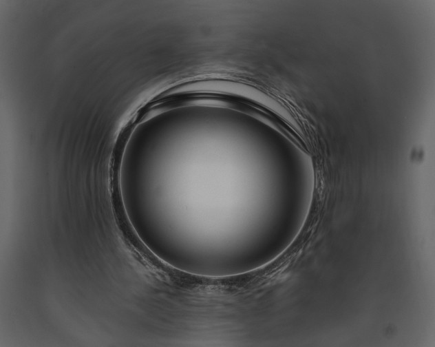 X0000091180244200708231535