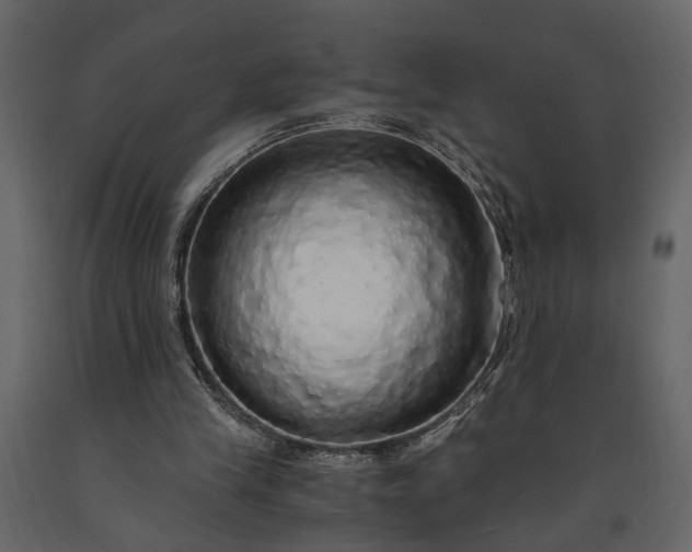 X0000091180245200708231535