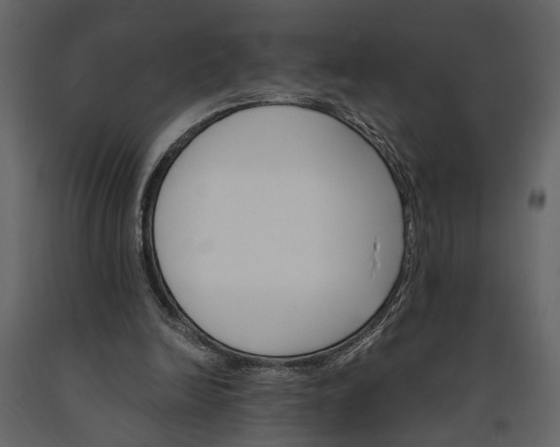 X0000091180246200708231535