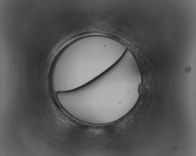 X0000091180247200708231535