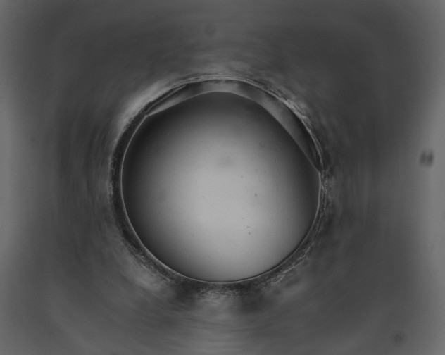 X0000091180248200708231535