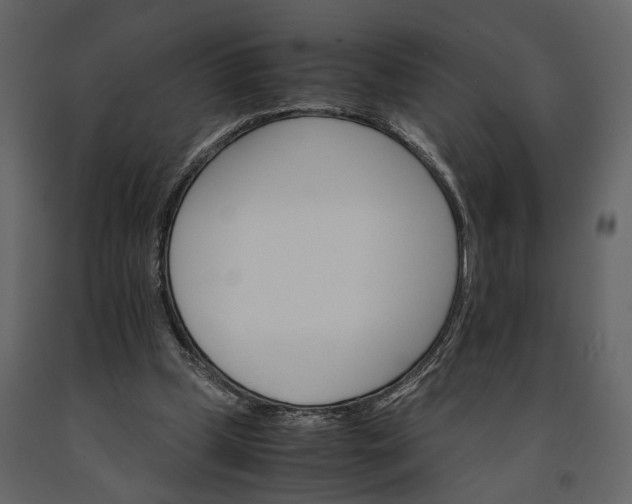 X0000091180249200708231535