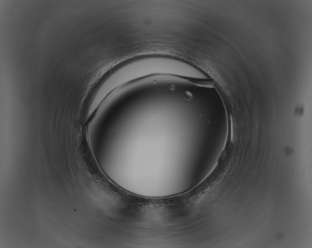 X0000091180252200708231535