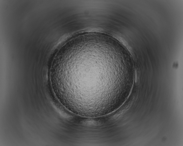 X0000091180253200708231535