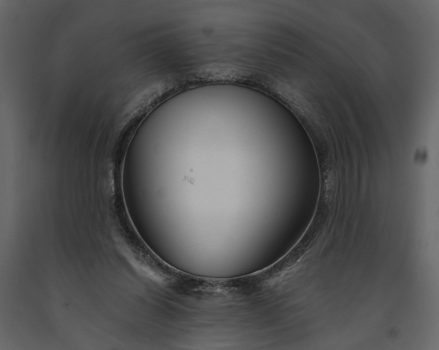 X0000091180254200708231535