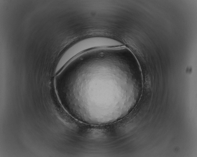 X0000091180255200708231535