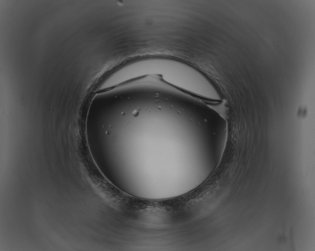 X0000091180256200708231535