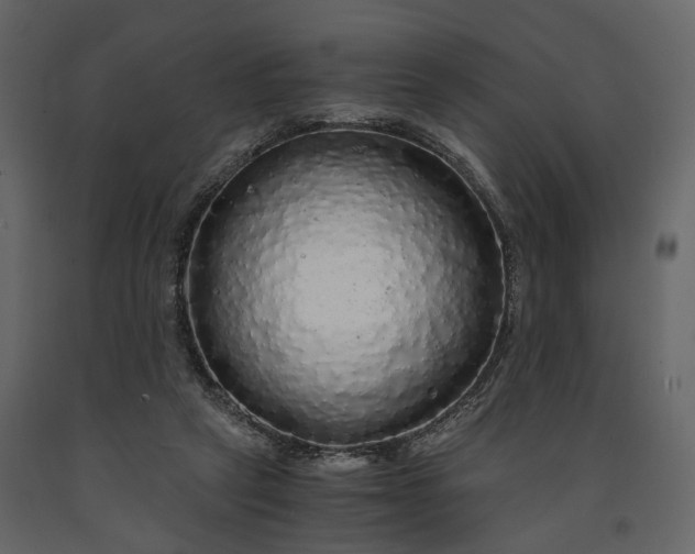 X0000091180257200708231535