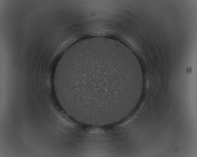 X0000091180258200708231535