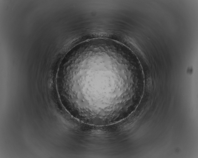 X0000091180259200708231535