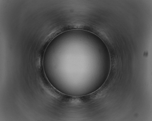 X0000091180262200708231535