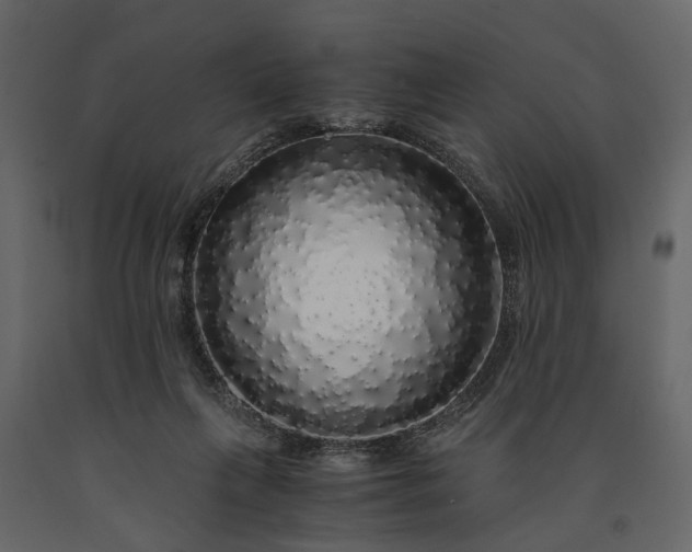 X0000091180263200708231535