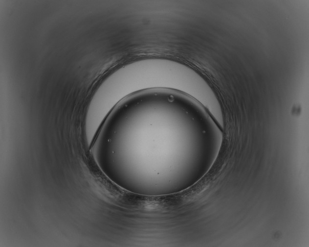 X0000091180264200708231535