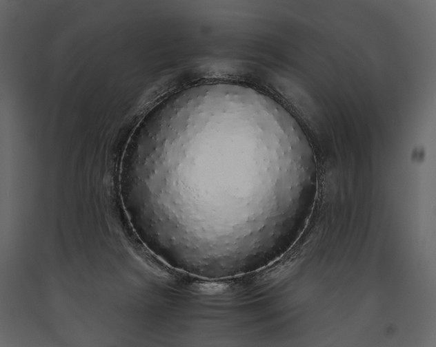 X0000091180265200708231535