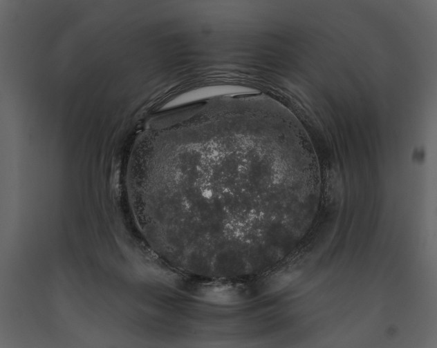 X0000091180267200708231535