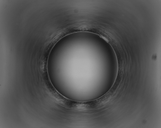 X0000091180268200708231535