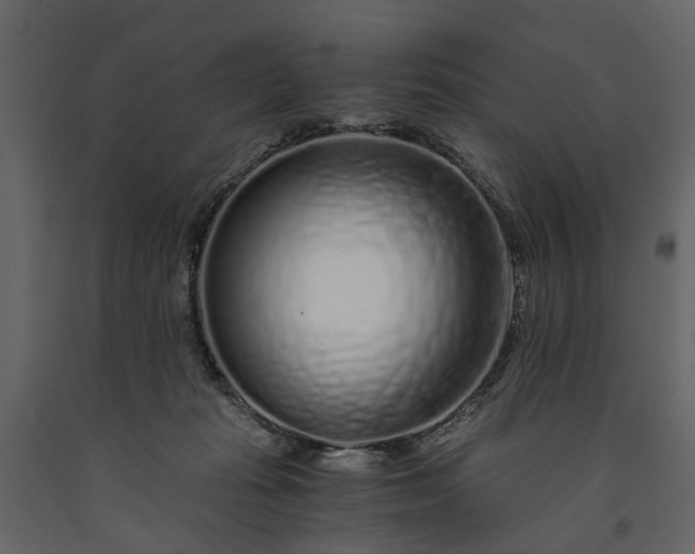 X0000091180269200708231535