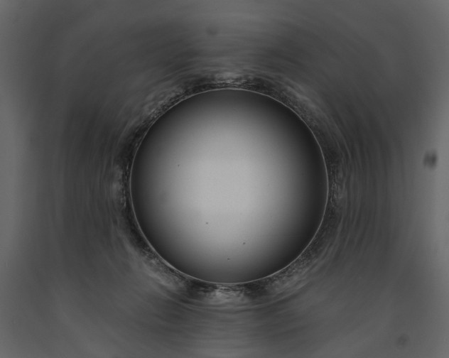 X0000091180270200708231535