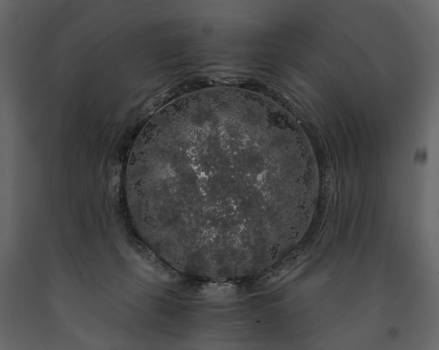 X0000091180271200708231535