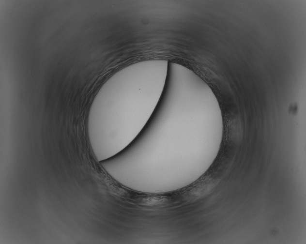 X0000091180274200708231535