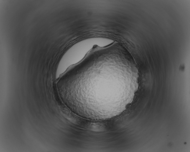 X0000091180275200708231535