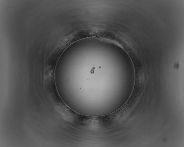 X0000091180276200708231535