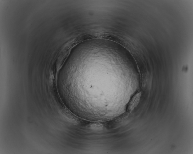 X0000091180279200708231535