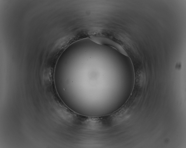 X0000091180280200708231535