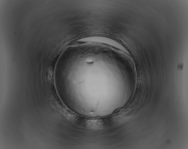 X0000091180281200708231535