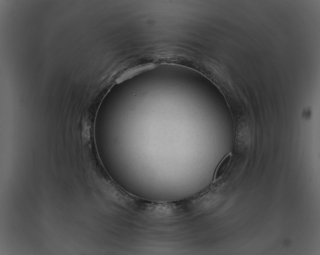 X0000091180282200708231535