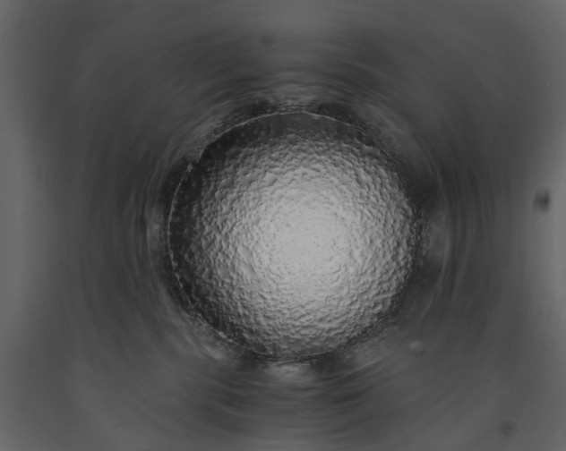 X0000091180283200708231535