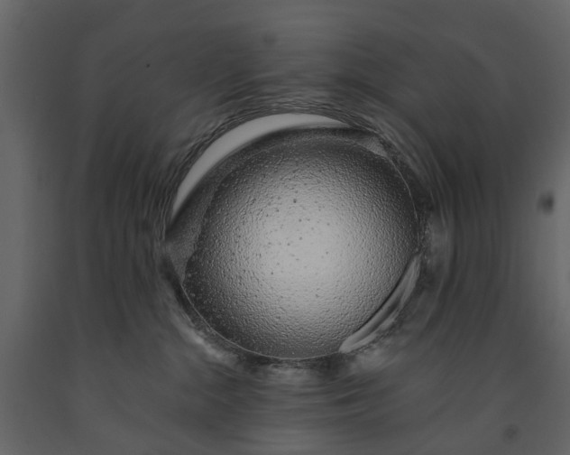 X0000091180284200708231535