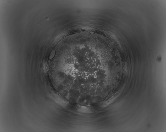 X0000091180285200708231535