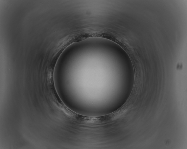 X0000091180288200708231535