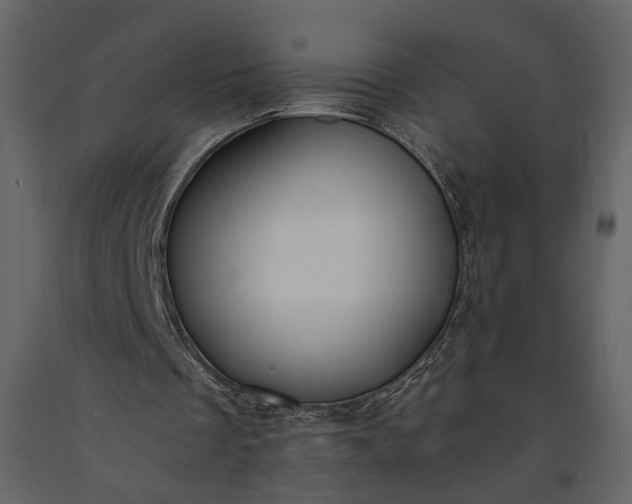 X0000091180289200708231535