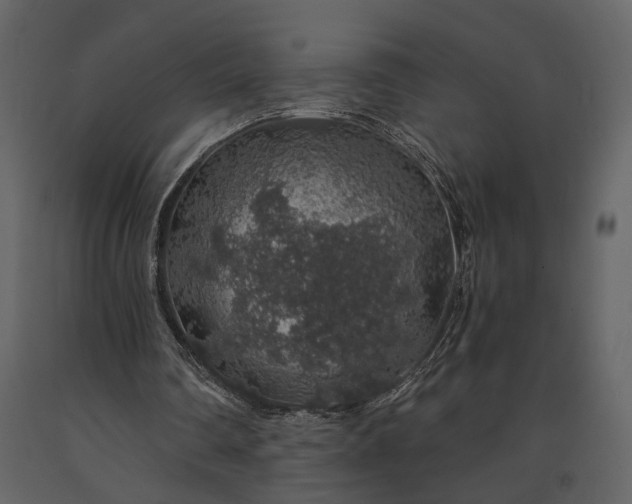 X0000091180290200708231535