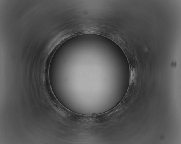 X0000091180291200708231535