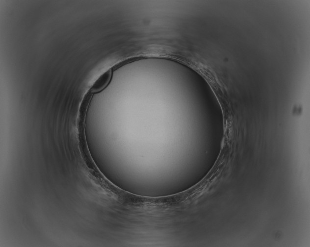 X0000091180292200708231535