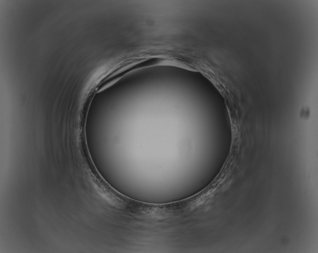 X0000091180293200708231535