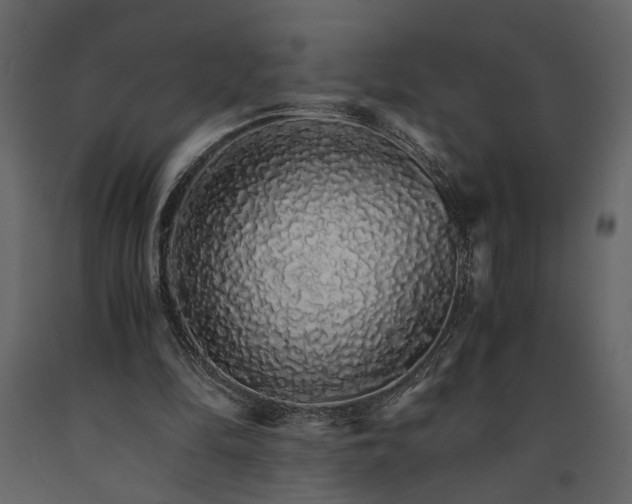 X0000091180294200708231535