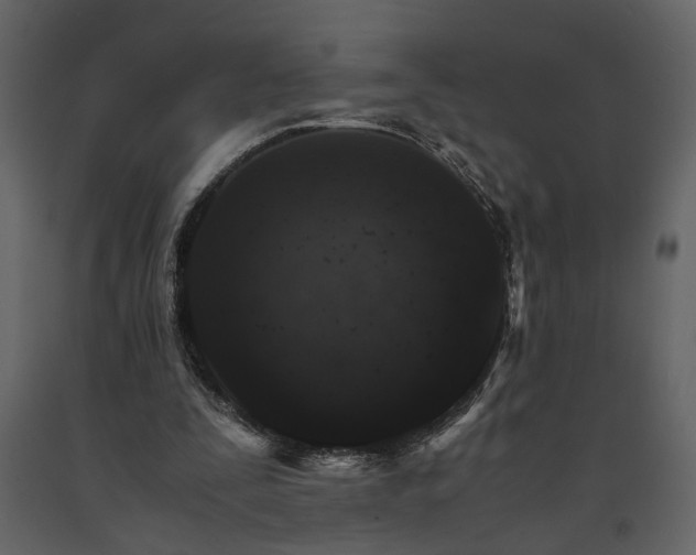 X0000091180295200708231535