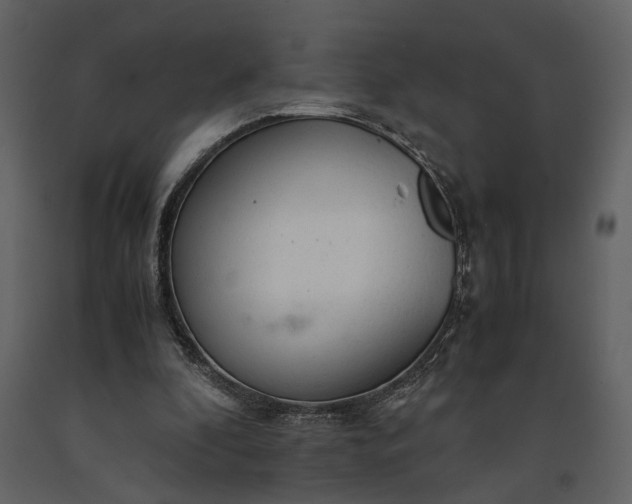 X0000091180296200708231535