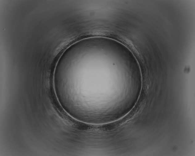 X0000091180299200708231535