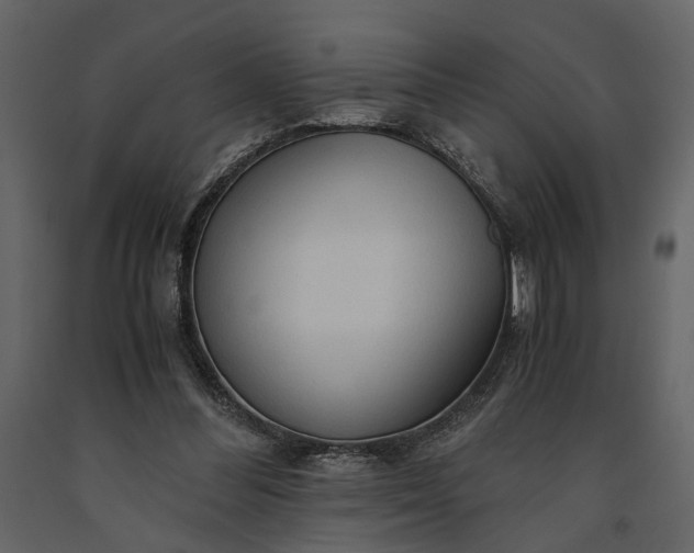 X0000091180300200708231535