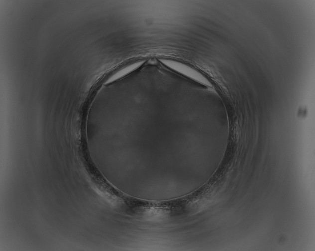 X0000091180303200708231535