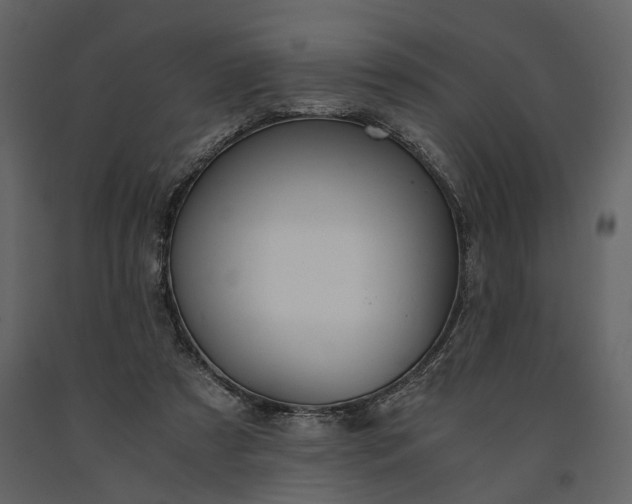 X0000091180305200708231535